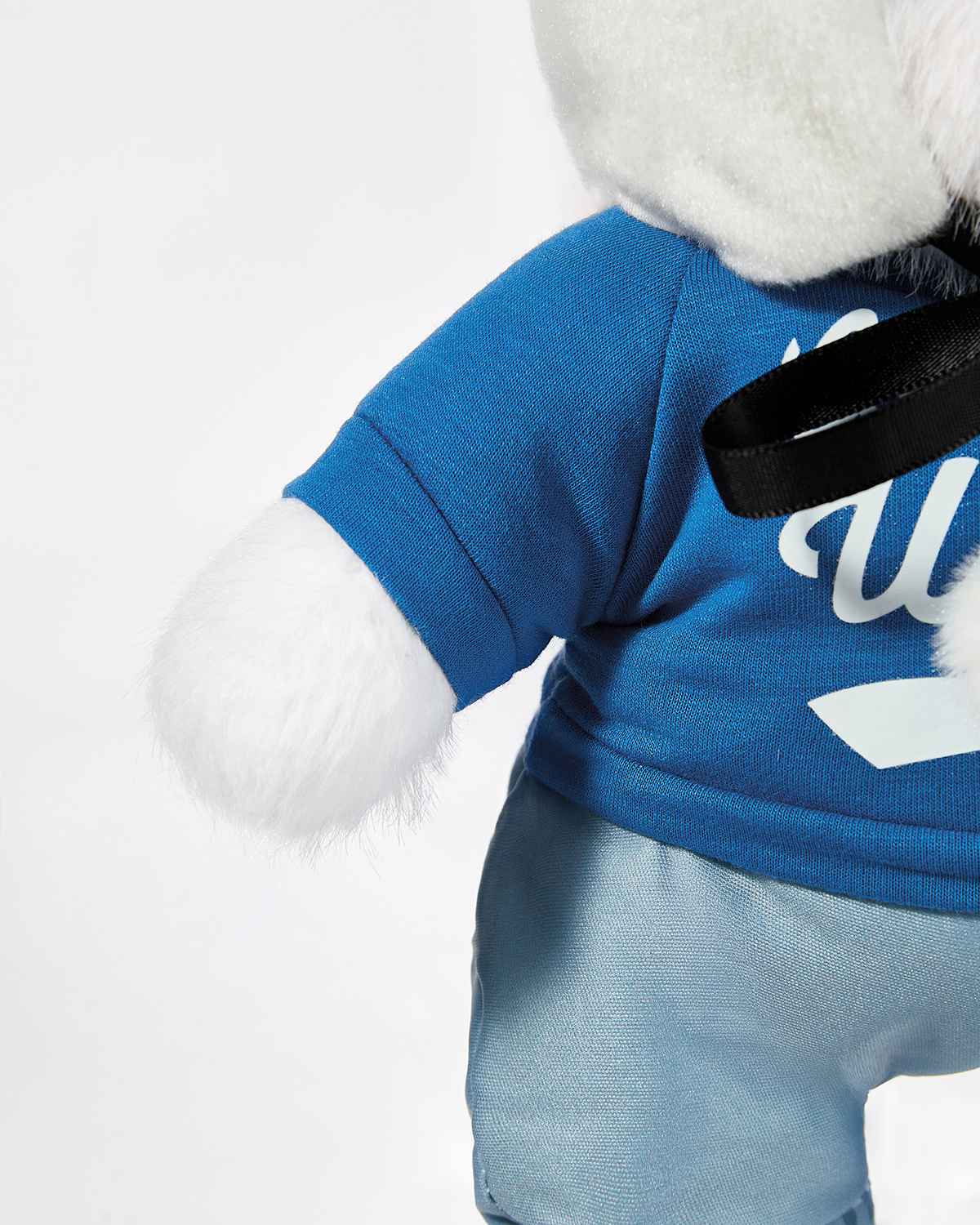 Teddy Bear & Cute White Dogs Set - 12 Inches